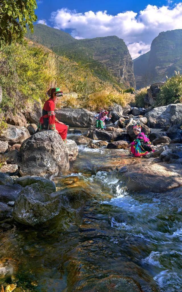 逃离金色蜜蜂森林